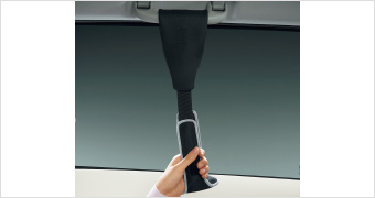 Assist grip